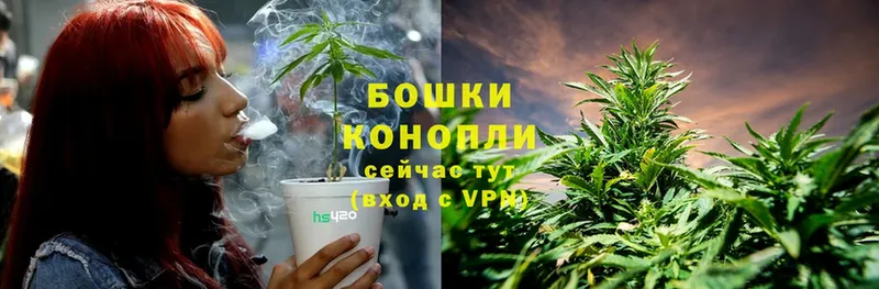 Каннабис SATIVA & INDICA  Амурск 